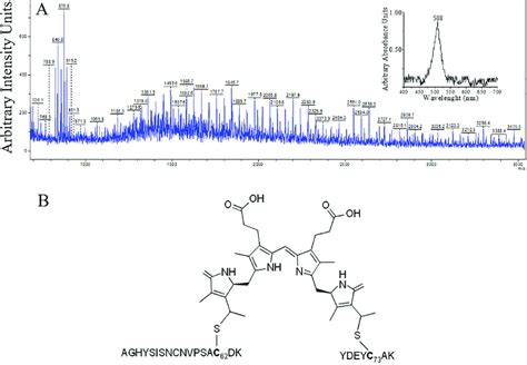 Maldi Tof Mass Spectra Of Pub Peptide A Peptide Isolated From Tryptic