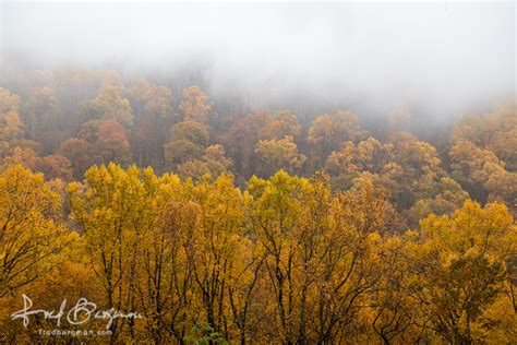Smoky Mountains Fall Colors II – Fred Bergman Photography