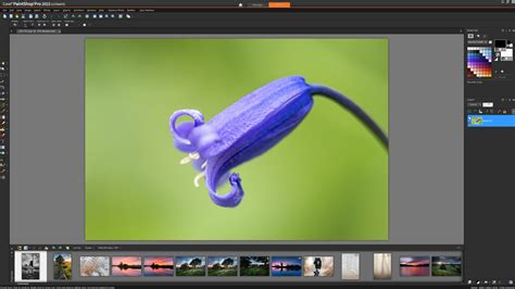 Corel PaintShop Pro 2022 Ultimate Review Digital Camera World