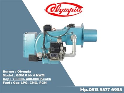 GAS BURNER OLYMPIA GOM 2 NWM TWO STAGE INDIRA MITRA BOILER