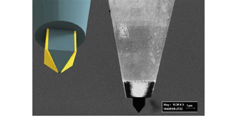 3d Schematic Of A Campanile Structure At The End Of A Gold Coated