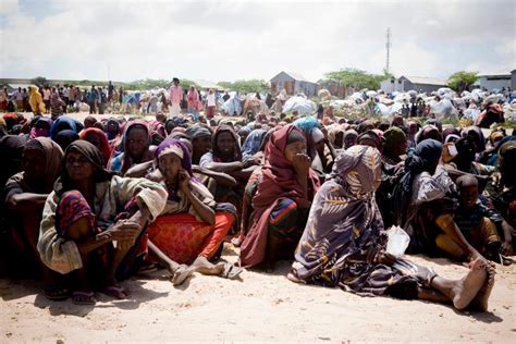 Inside Somalia, drought displacement growing - UNHCR Canada