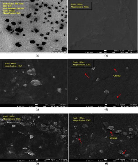 FE SEM Micrographs Of A LNE B Control C Starch MMT 1 5 MT1