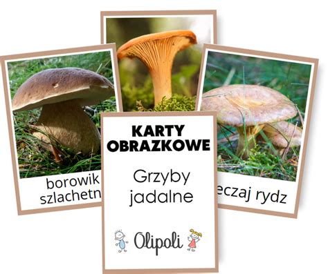 Karty Obrazkowe Grzyby Jadalne