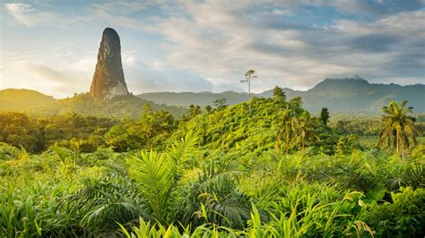 The delights of São Tomé and Príncipe – Lonely Planet - Lonely Planet