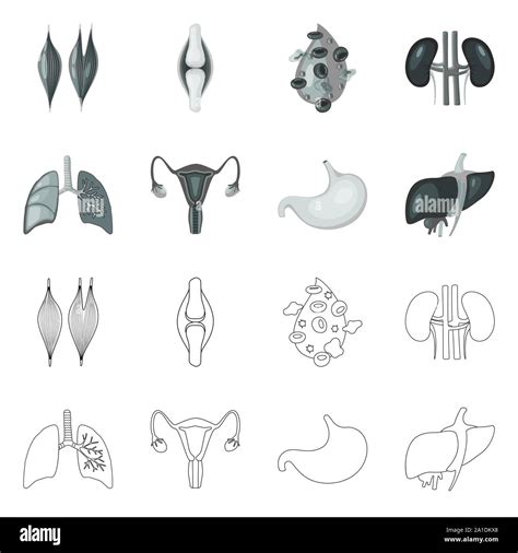 Vector Illustration Of Biology And Scientific Symbol Set Of Biology