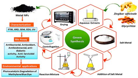 Exploring The Antibacterial Potential Of Green Synthesized Mgo And Zno