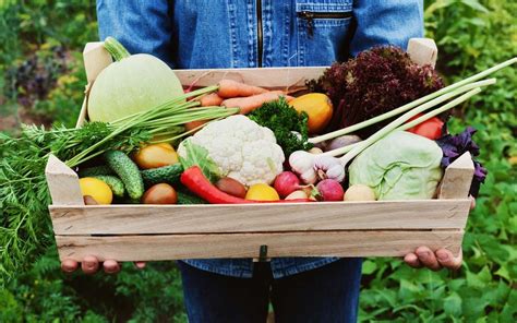 Signs Produce at the Farmers Market Isn't Local | Reader's Digest