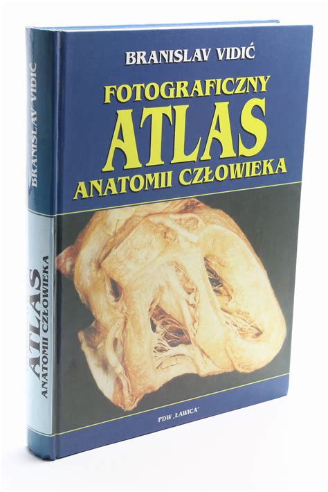 Fotograficzny atlas anatomii człowieka Vidić Antykwariat Evos