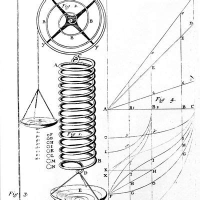 Biography of Robert Hooke, the Man Who Discovered Cells