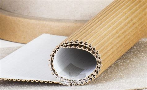 Single Face Corrugated Cardboard Roll Manufacturer Transpack Group