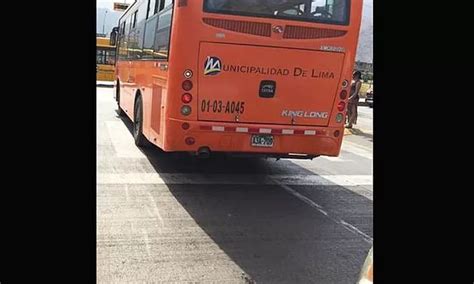 Independencia Bus Alimentador Del Metropolitano Invade El Crucero