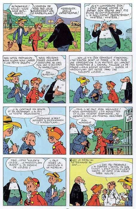 Spirou Et Fantasio Les Voleurs Du Marsupilami Sceneario