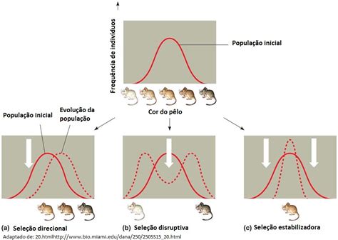 Terraconvida Biologia Ii Evolução Biológica