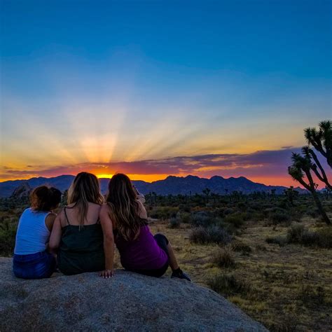 joshua tree national park camping reservation 2