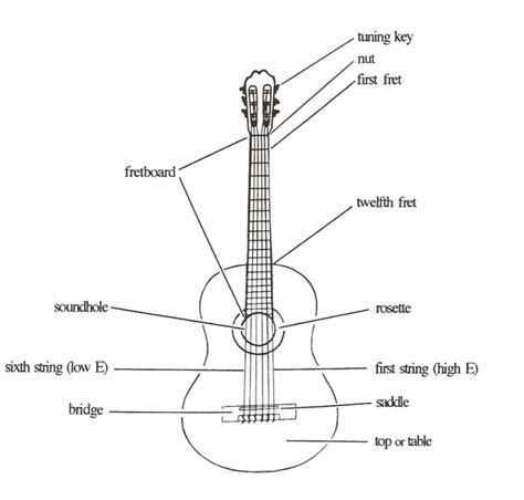 Guitar Anatomy