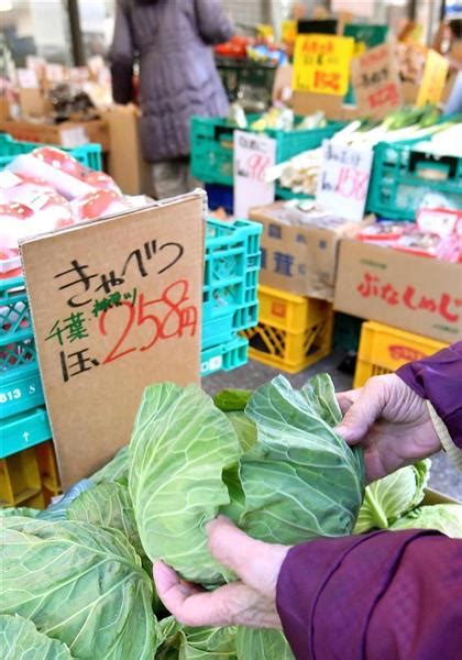 野菜高騰 レタス2．4倍 白菜や大根2倍 長雨・低温が影響 産経ニュース