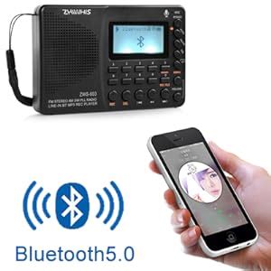 Amazon Zhiwhis Portable Bluetooth Radio Fm Am Shortwave Radios