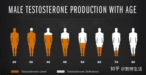 怎样提高雄性激素（睾酮）？ 知乎