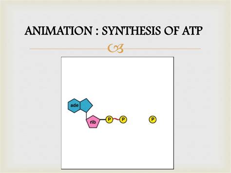 PPT - DEHYDRATION SYNTHESIS PowerPoint Presentation, free download - ID ...