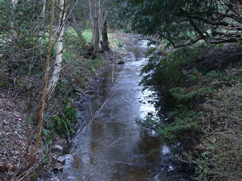 Gentle Flowing Stream P River Crane Sanctuary Flickr