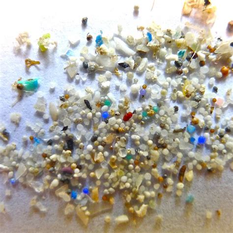 Replacing Microplastics With Biocompatible Silk Fibres Gadgetonus