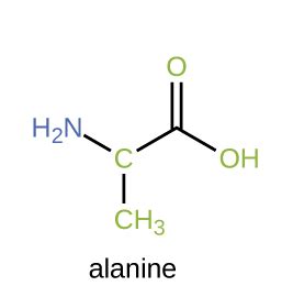 Solved What Is The Formula Of C H No With Alanine Attached