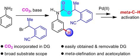 Incorporation Of Carbon Dioxide Into Carbamate Directing Groups