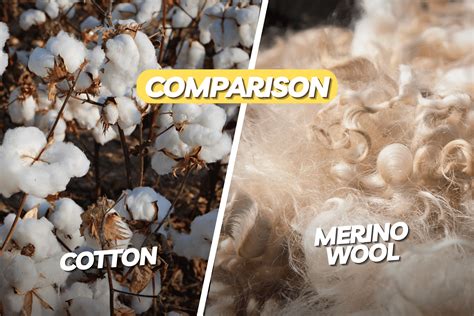 Cotton Vs. Merino Wool: What are the Differences?