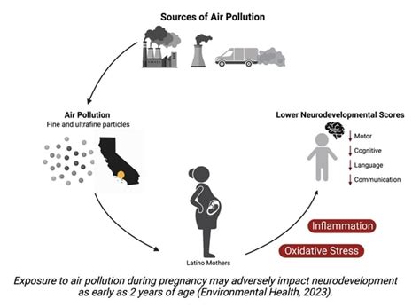 Prenatal Pollution Exposure Linked To Lower Cognitive Scores In Early