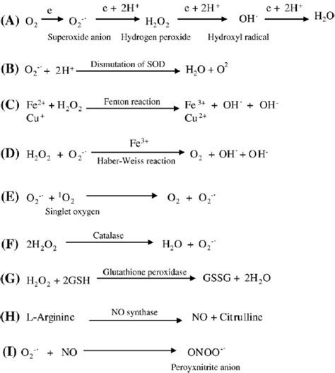 Hydrogen Peroxide Chemical Equation - Tessshebaylo