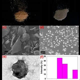 Xps Spectra Of Chitosan Bulk Powder And Nanoparticles A Full Scans