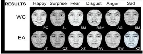 perceptions  facial expressions differ  cultures scientist