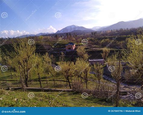 Kashmir, India - April 26 2021 : Tourist in the Valley of Kashmir Stock ...