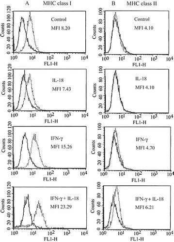 IL18 enhances IFNγinduced production of CXCL9 CXCL10 and CXCL11 in