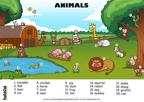 Englishclub Poster Animals A3 4961×3508 English Worksheets For