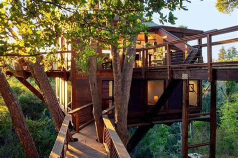 Best California Treehouse Rentals Top Picks The Wanderlust