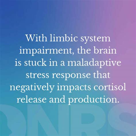 The Brain Thyroid Connection Dynamic Neural Retraining System