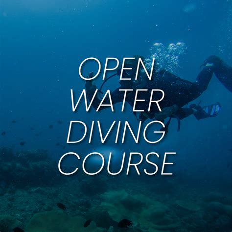 Diving Courses