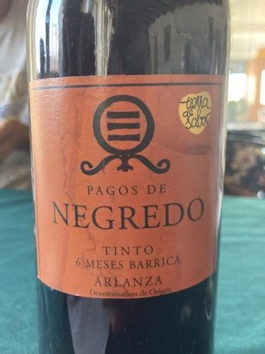 Pagos De Negredo 6 Meses Barrica Tinto Vivino US