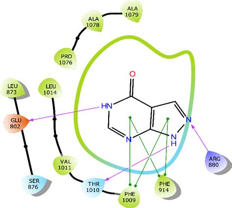 The D Interaction View Of Compound With Amino Acid Residues At The