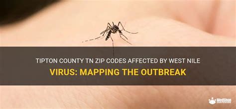 Tipton County Tn Zip Codes Affected By West Nile Virus: Mapping The ...