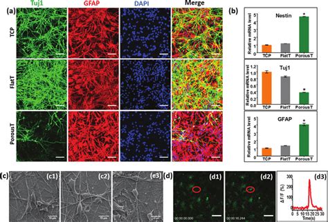 Regulation Of Nsc Differentiation By Different Topographical Tio