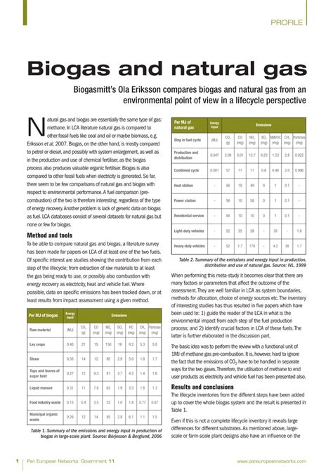 PDF Biogas And Natural Gas