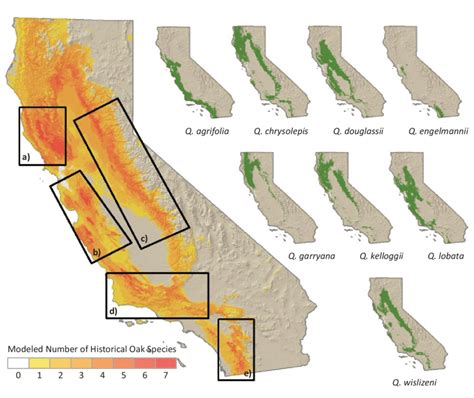 Modeled Number Of Historical Oak Species A North Coast Range B