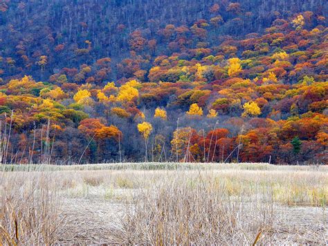 Harriman Autumn Stanley Zimny Thank You For Million Views Flickr