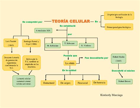 Teoria Celular Mapa Mental Geno Reverasite Hot Sex Picture