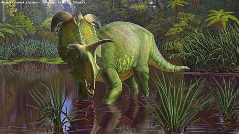 Video New Horned Dinosaur Species Discovered Largest And Most Ornate