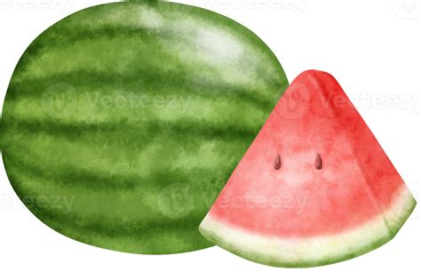 Watercolor Watermelon Illustration 27380103 Png