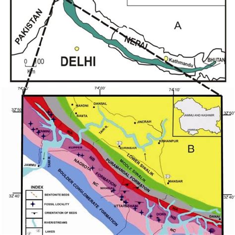 Pdf Micro Biotic Composition Of Nagrota Formation Upper Siwalik